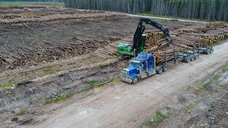 Forest Trotter - La Crete, Alberta - Logging Equipment - Log Loader