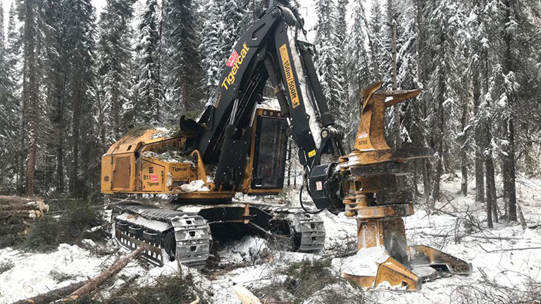 Forest Trotter - La Crete, Alberta - Logging Equipment - Buncher