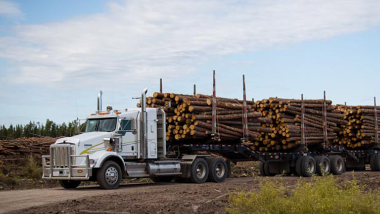 Forest Trotter - La Crete, Alberta - Logging Equipment - Log Truck